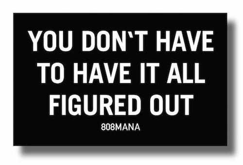 #879 YOU DON’T HAVE TO HAVE IT ALL FIGURED OUT - VINYL STICKER - ©808MANA - BIG ISLAND LOVE LLC
